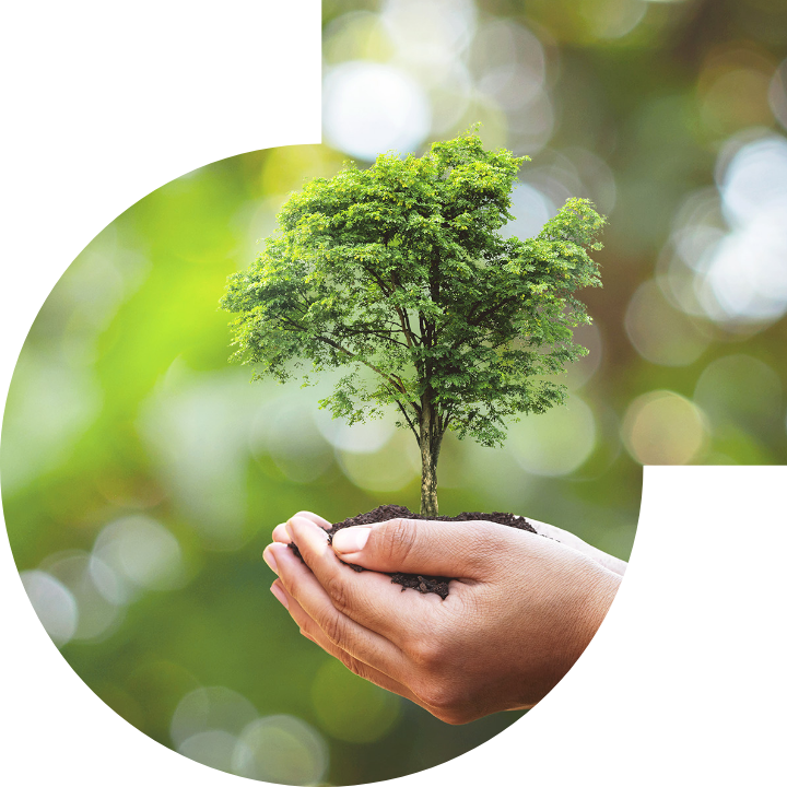 关怀人类、文化、环境与社会